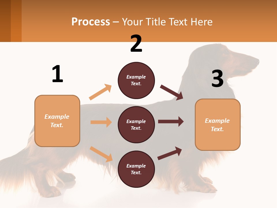 A Brown And Black Dog Standing Next To A Sign PowerPoint Template