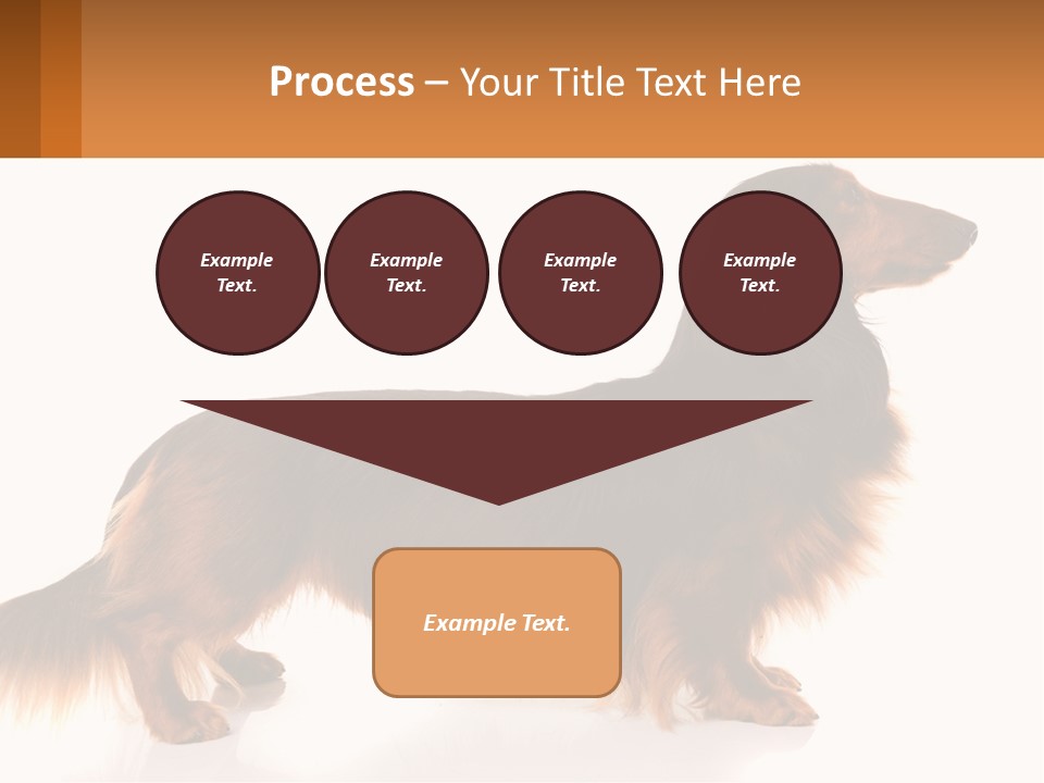 A Brown And Black Dog Standing Next To A Sign PowerPoint Template
