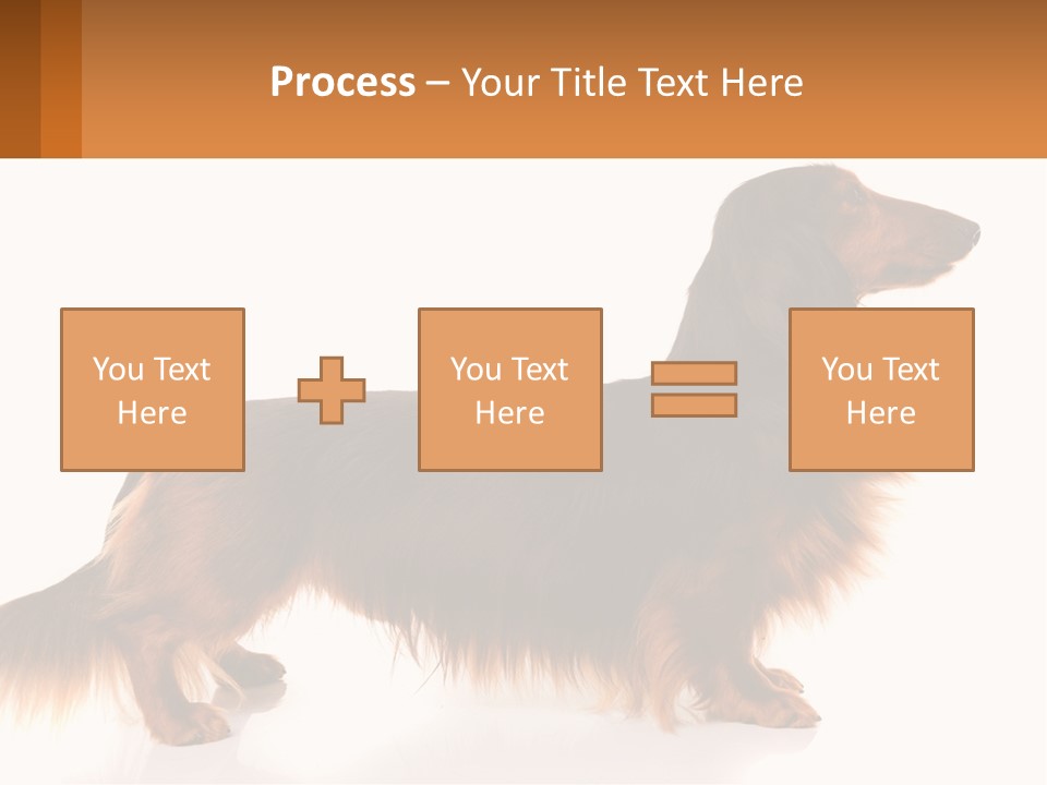 A Brown And Black Dog Standing Next To A Sign PowerPoint Template