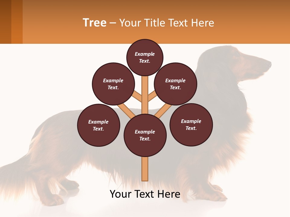 A Brown And Black Dog Standing Next To A Sign PowerPoint Template