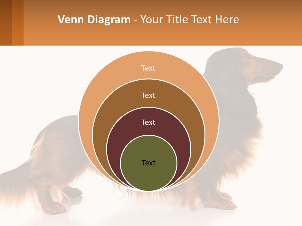 A Brown And Black Dog Standing Next To A Sign PowerPoint Template