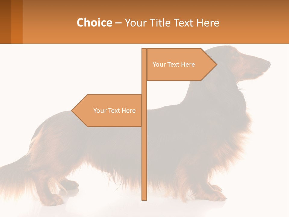 A Brown And Black Dog Standing Next To A Sign PowerPoint Template