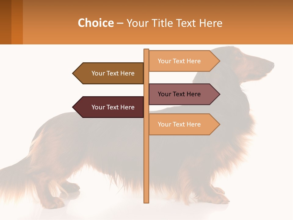 A Brown And Black Dog Standing Next To A Sign PowerPoint Template