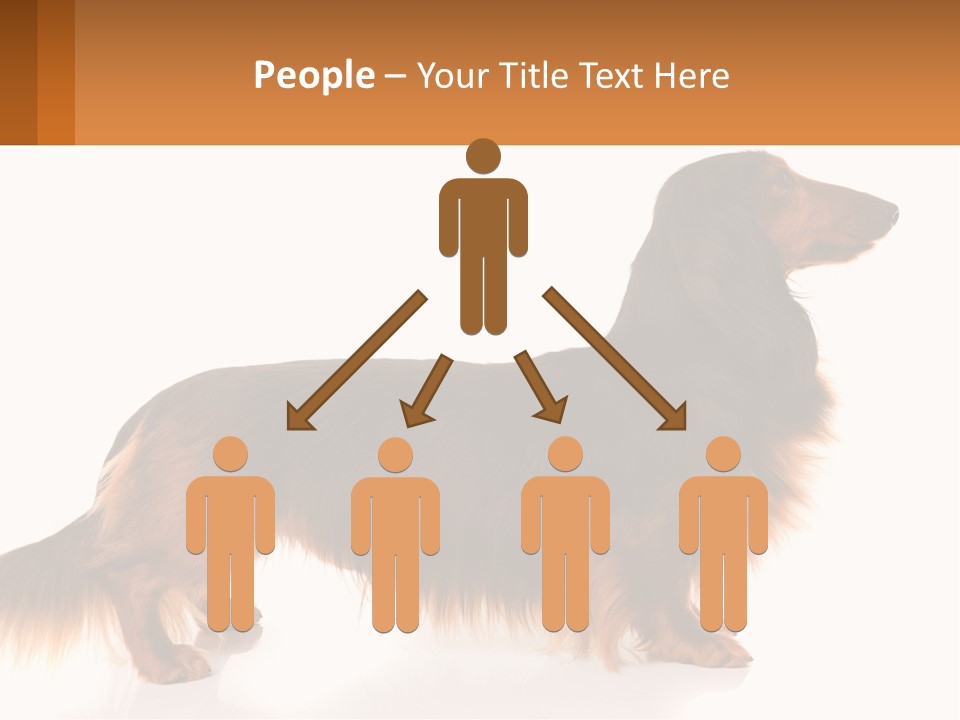 A Brown And Black Dog Standing Next To A Sign PowerPoint Template