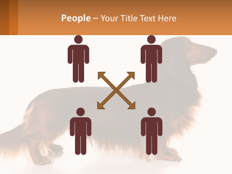 A Brown And Black Dog Standing Next To A Sign PowerPoint Template