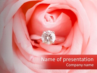 A Diamond Ring On Top Of A Pink Rose PowerPoint Template