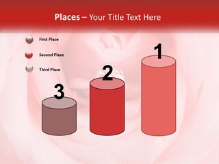 A Diamond Ring On Top Of A Pink Rose PowerPoint Template