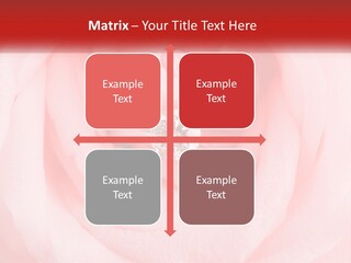 A Diamond Ring On Top Of A Pink Rose PowerPoint Template