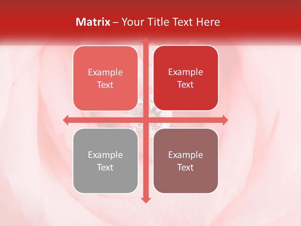 A Diamond Ring On Top Of A Pink Rose PowerPoint Template