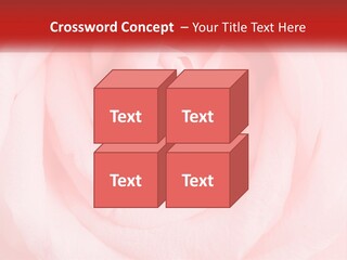 A Diamond Ring On Top Of A Pink Rose PowerPoint Template