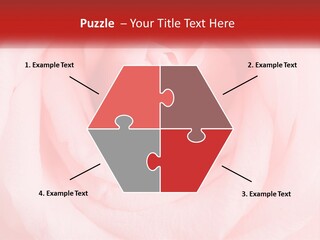 A Diamond Ring On Top Of A Pink Rose PowerPoint Template