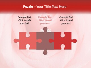 A Diamond Ring On Top Of A Pink Rose PowerPoint Template
