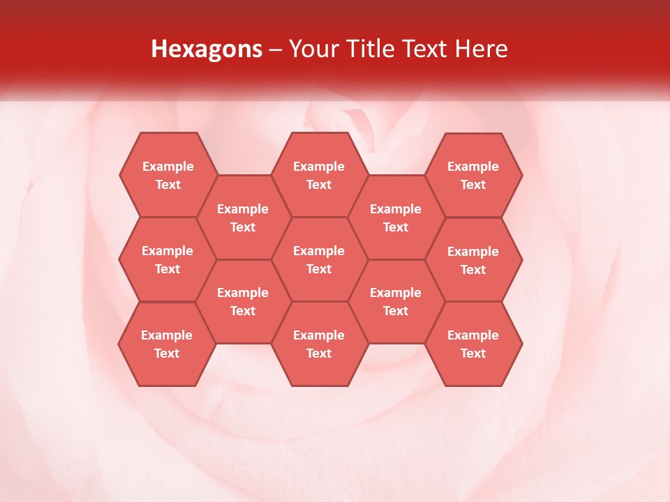 A Diamond Ring On Top Of A Pink Rose PowerPoint Template