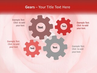 A Diamond Ring On Top Of A Pink Rose PowerPoint Template