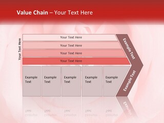 A Diamond Ring On Top Of A Pink Rose PowerPoint Template