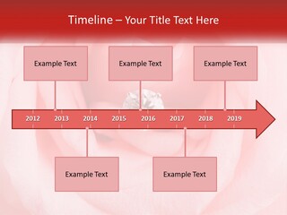 A Diamond Ring On Top Of A Pink Rose PowerPoint Template