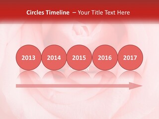 A Diamond Ring On Top Of A Pink Rose PowerPoint Template