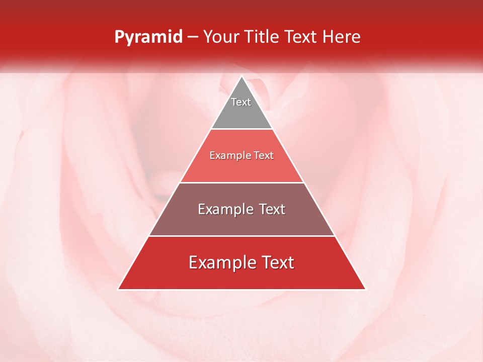 A Diamond Ring On Top Of A Pink Rose PowerPoint Template