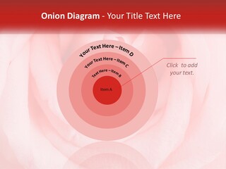 A Diamond Ring On Top Of A Pink Rose PowerPoint Template