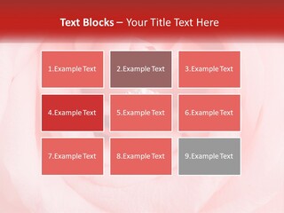 A Diamond Ring On Top Of A Pink Rose PowerPoint Template