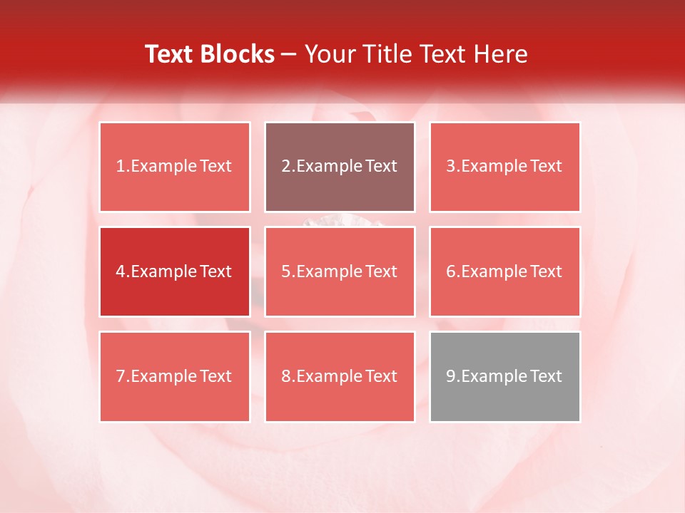 A Diamond Ring On Top Of A Pink Rose PowerPoint Template