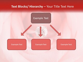 A Diamond Ring On Top Of A Pink Rose PowerPoint Template
