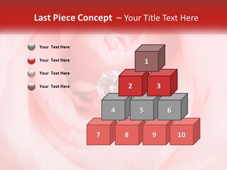 A Diamond Ring On Top Of A Pink Rose PowerPoint Template