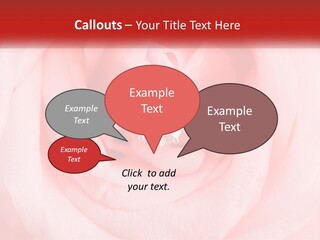 A Diamond Ring On Top Of A Pink Rose PowerPoint Template