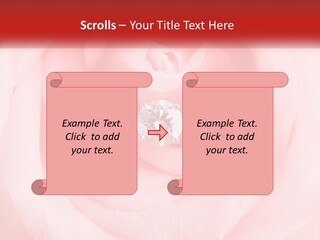 A Diamond Ring On Top Of A Pink Rose PowerPoint Template