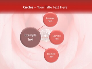 A Diamond Ring On Top Of A Pink Rose PowerPoint Template