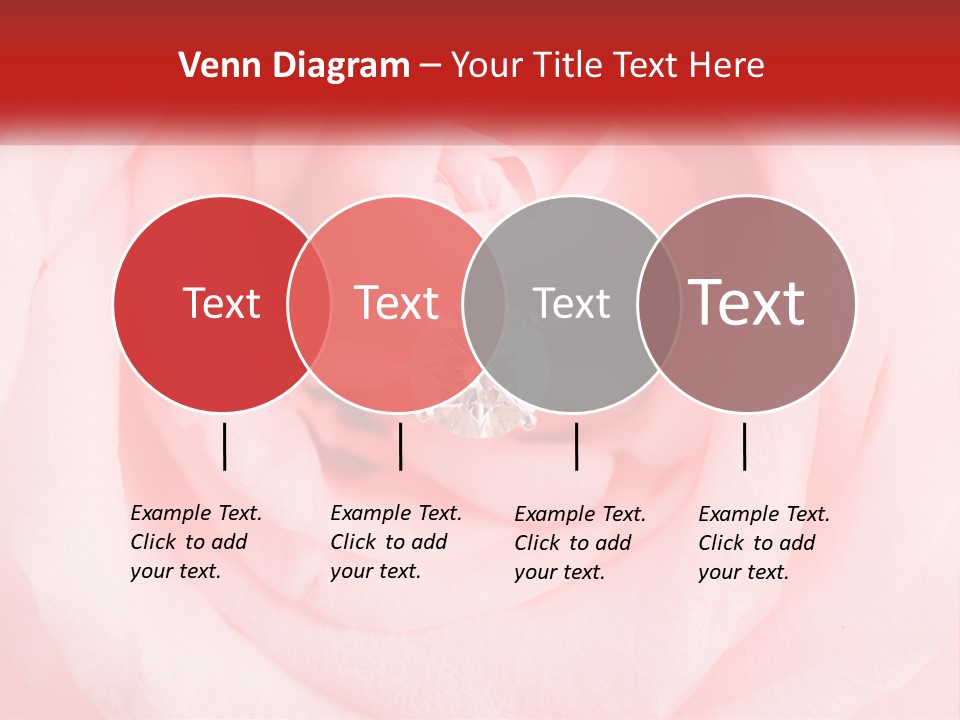 A Diamond Ring On Top Of A Pink Rose PowerPoint Template