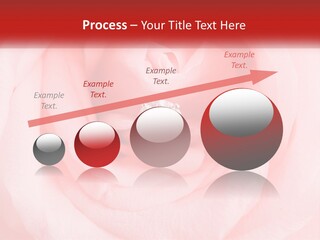 A Diamond Ring On Top Of A Pink Rose PowerPoint Template
