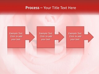 A Diamond Ring On Top Of A Pink Rose PowerPoint Template