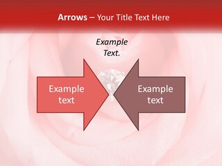 A Diamond Ring On Top Of A Pink Rose PowerPoint Template