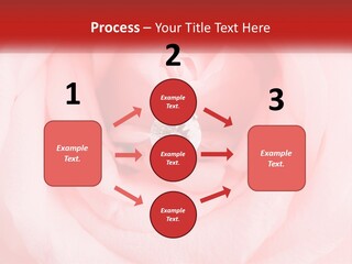 A Diamond Ring On Top Of A Pink Rose PowerPoint Template
