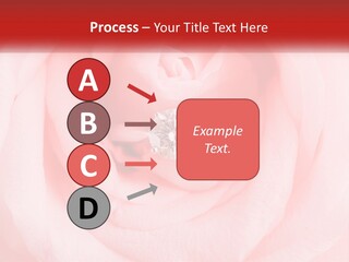 A Diamond Ring On Top Of A Pink Rose PowerPoint Template