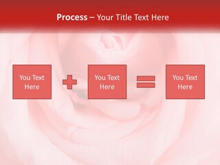 A Diamond Ring On Top Of A Pink Rose PowerPoint Template