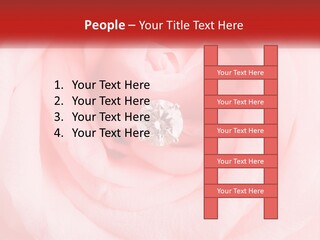 A Diamond Ring On Top Of A Pink Rose PowerPoint Template