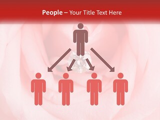A Diamond Ring On Top Of A Pink Rose PowerPoint Template