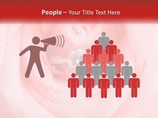 A Diamond Ring On Top Of A Pink Rose PowerPoint Template