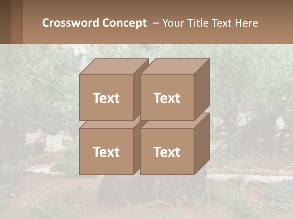 A Large Group Of Olive Trees In A Garden PowerPoint Template