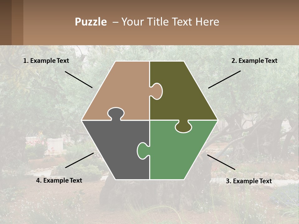 A Large Group Of Olive Trees In A Garden PowerPoint Template