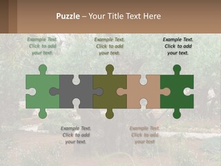 A Large Group Of Olive Trees In A Garden PowerPoint Template