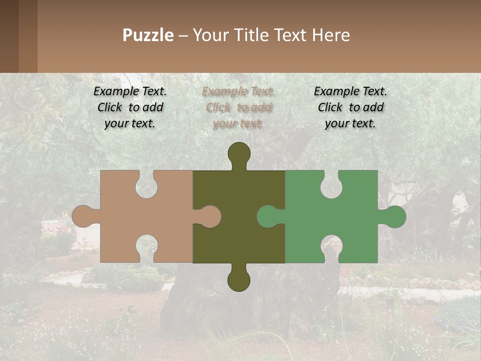 A Large Group Of Olive Trees In A Garden PowerPoint Template