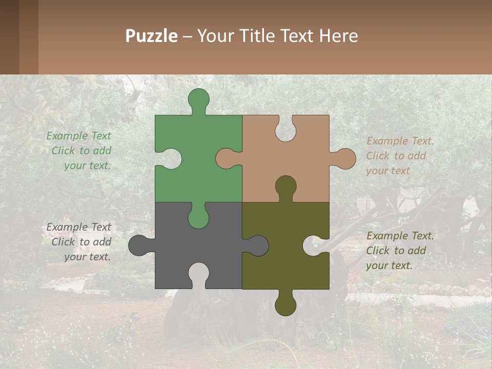 A Large Group Of Olive Trees In A Garden PowerPoint Template