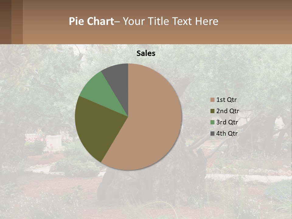 A Large Group Of Olive Trees In A Garden PowerPoint Template