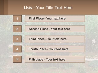 A Large Group Of Olive Trees In A Garden PowerPoint Template