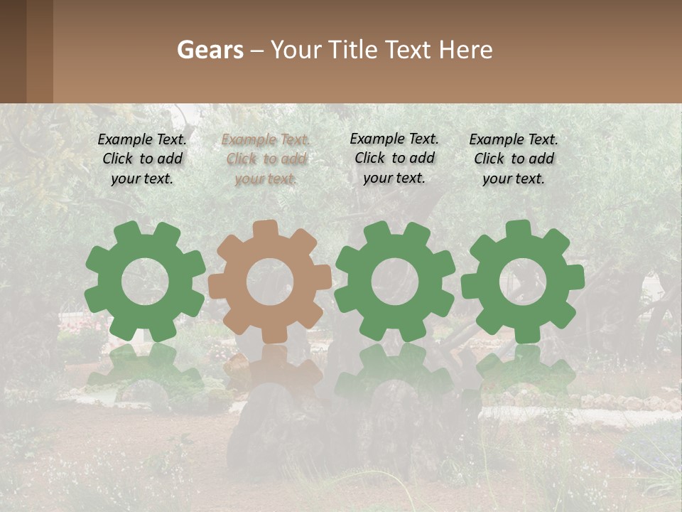 A Large Group Of Olive Trees In A Garden PowerPoint Template