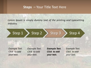 A Large Group Of Olive Trees In A Garden PowerPoint Template