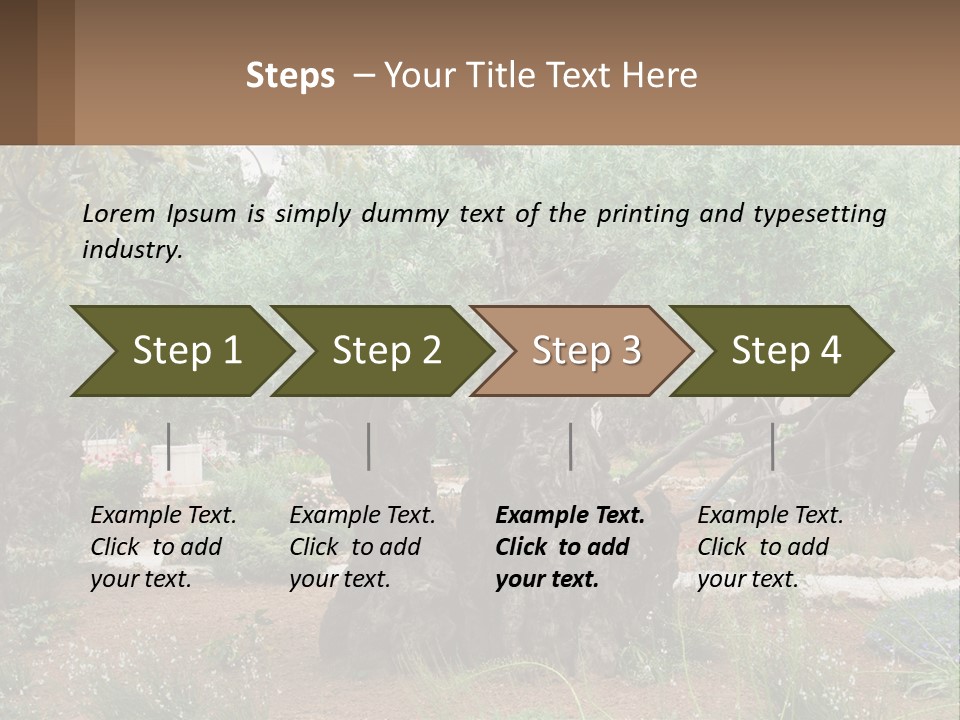 A Large Group Of Olive Trees In A Garden PowerPoint Template